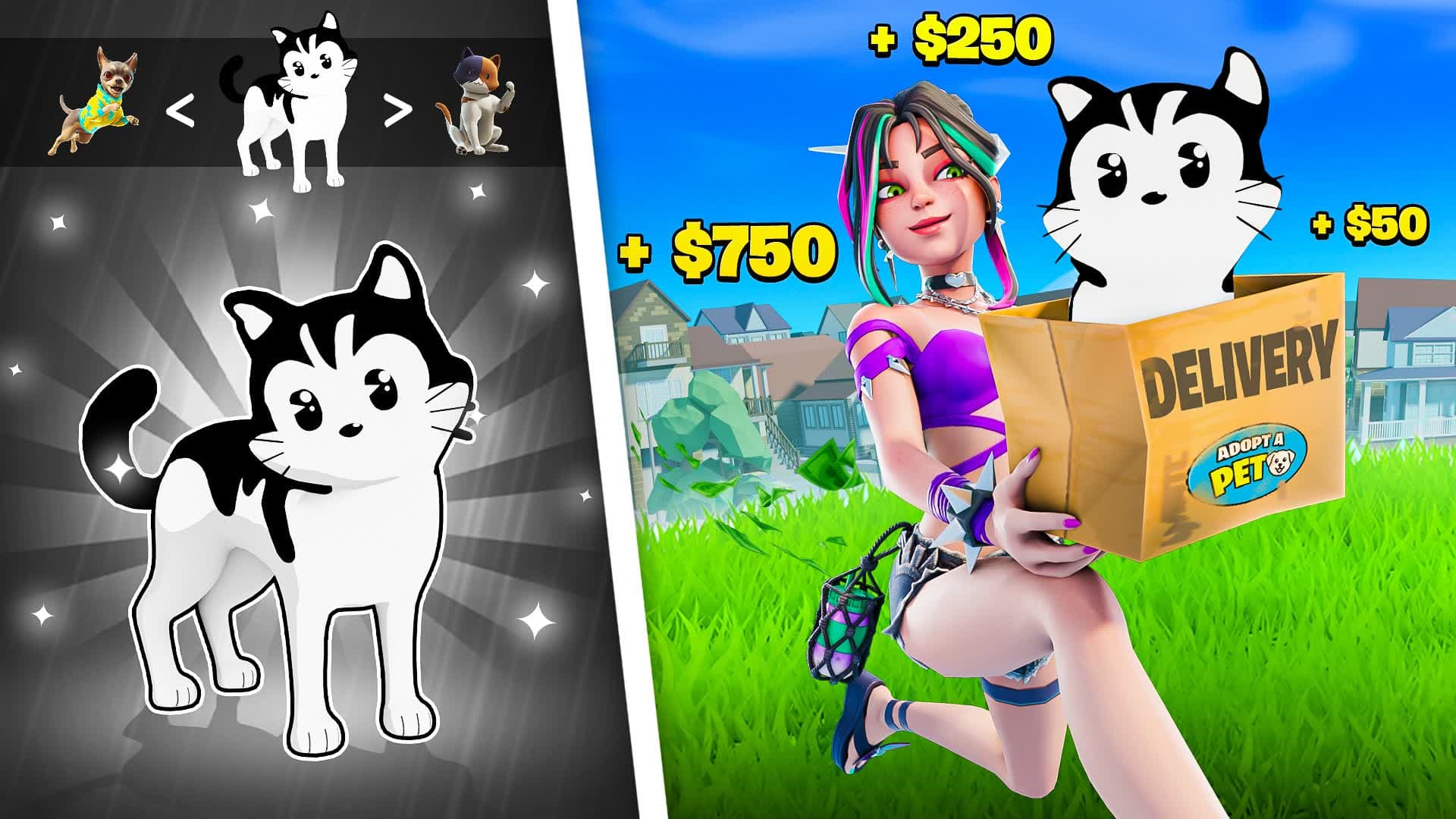 ADOPT A PET