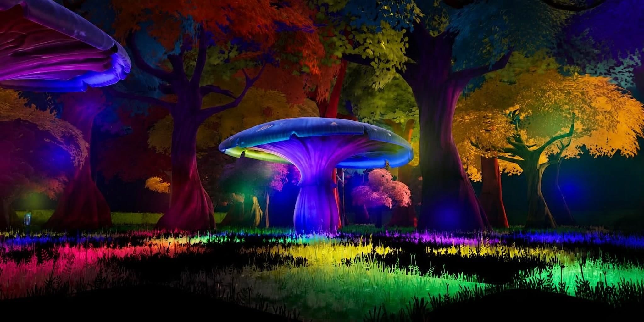 Jammin' in Wonderland