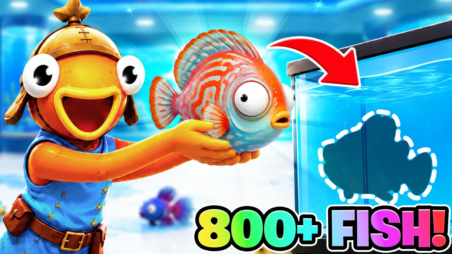 CLEAN THE AQUARIUM