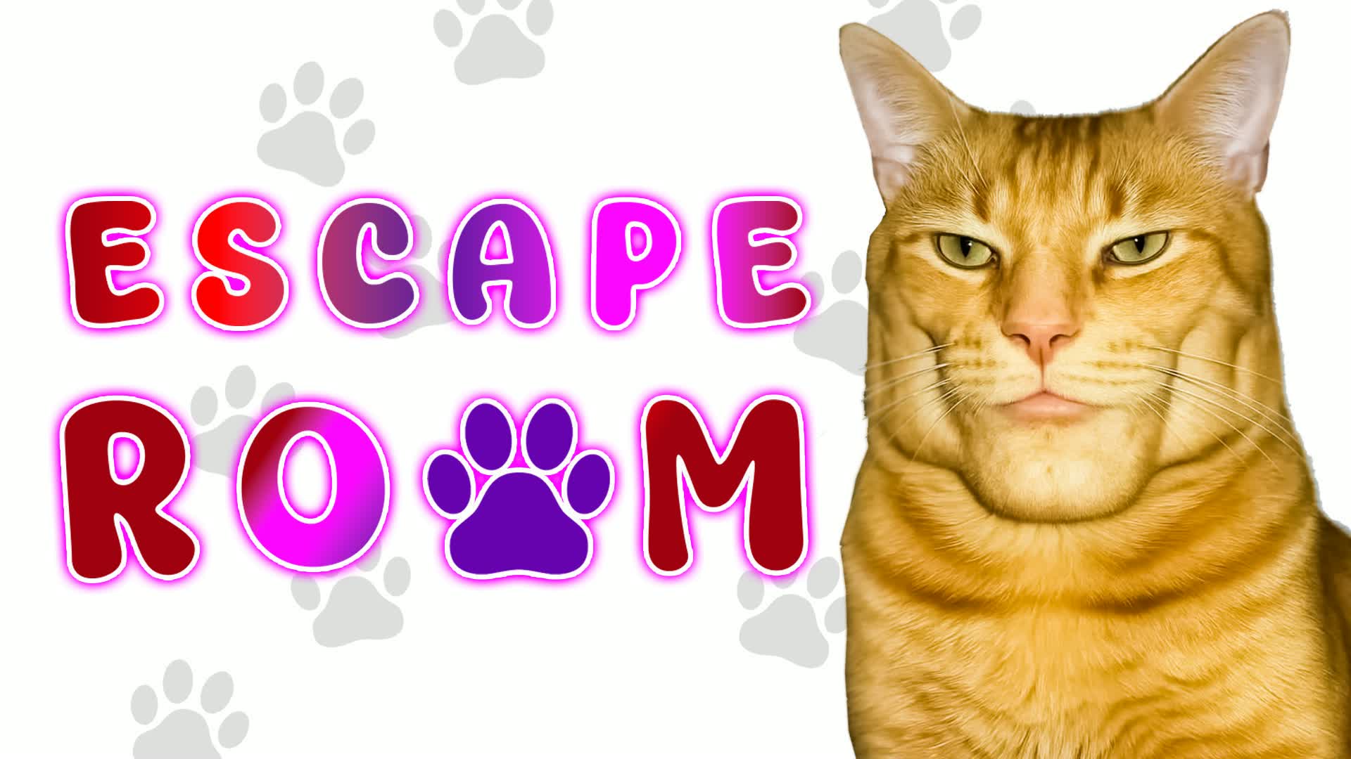 ๐งฉ Brutal Cat Escape Rooms | by GT ๐งฉ