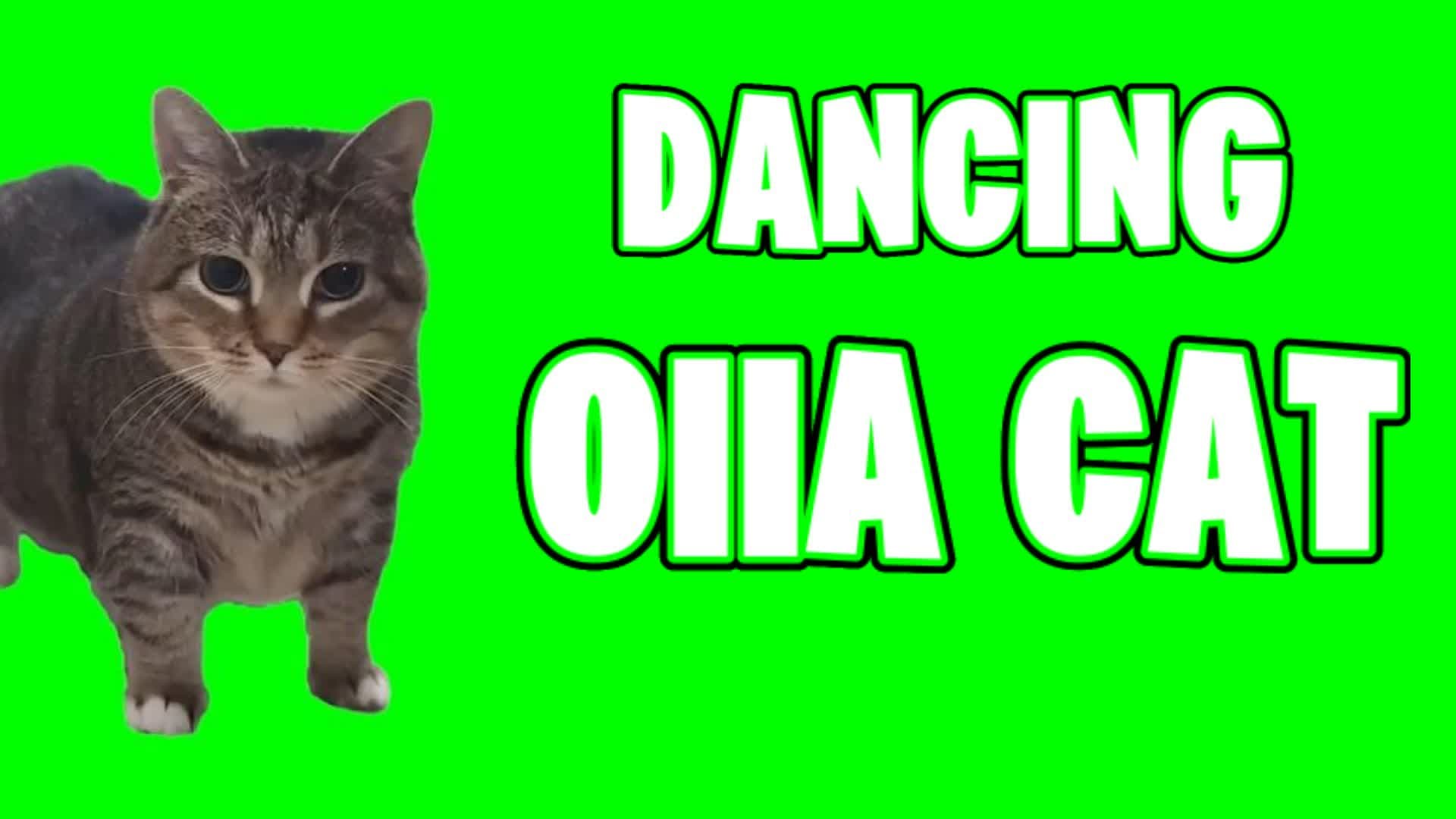 Dancing OIIA Cat