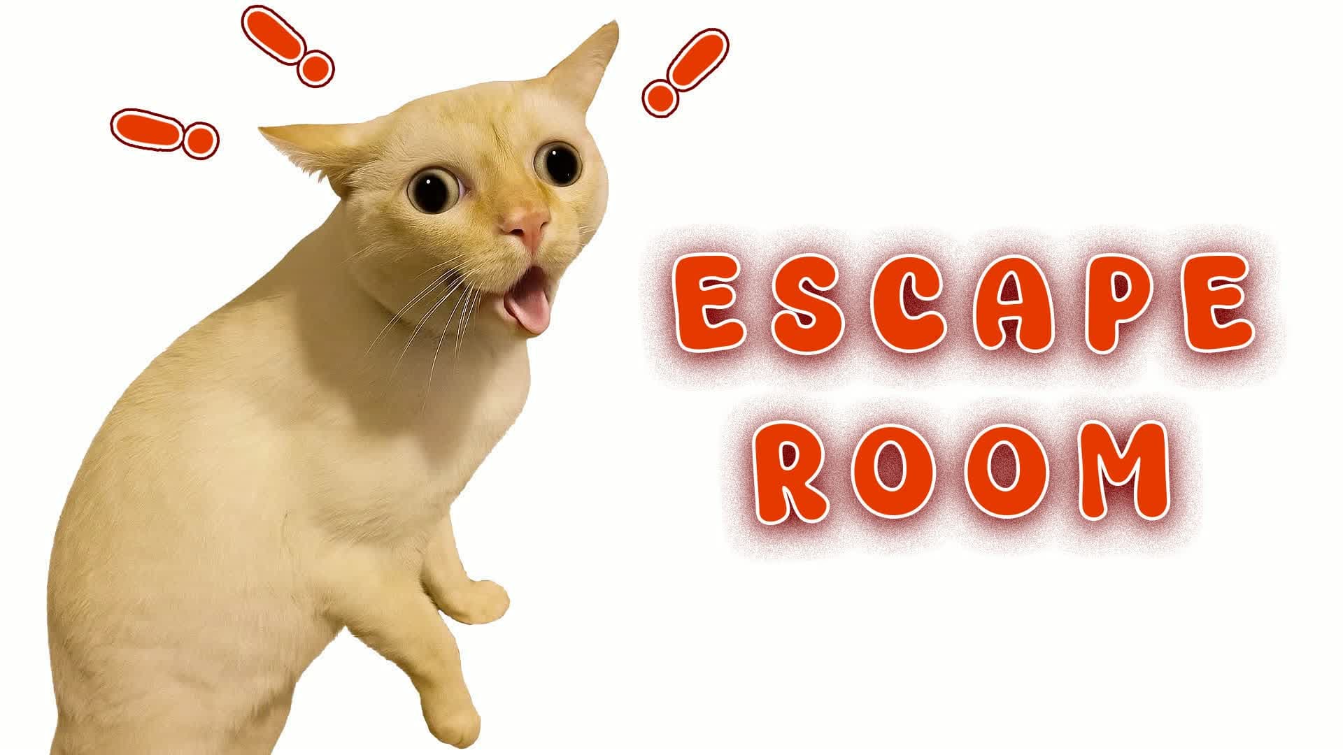 ๐ Cat IQ Escape Room ๐