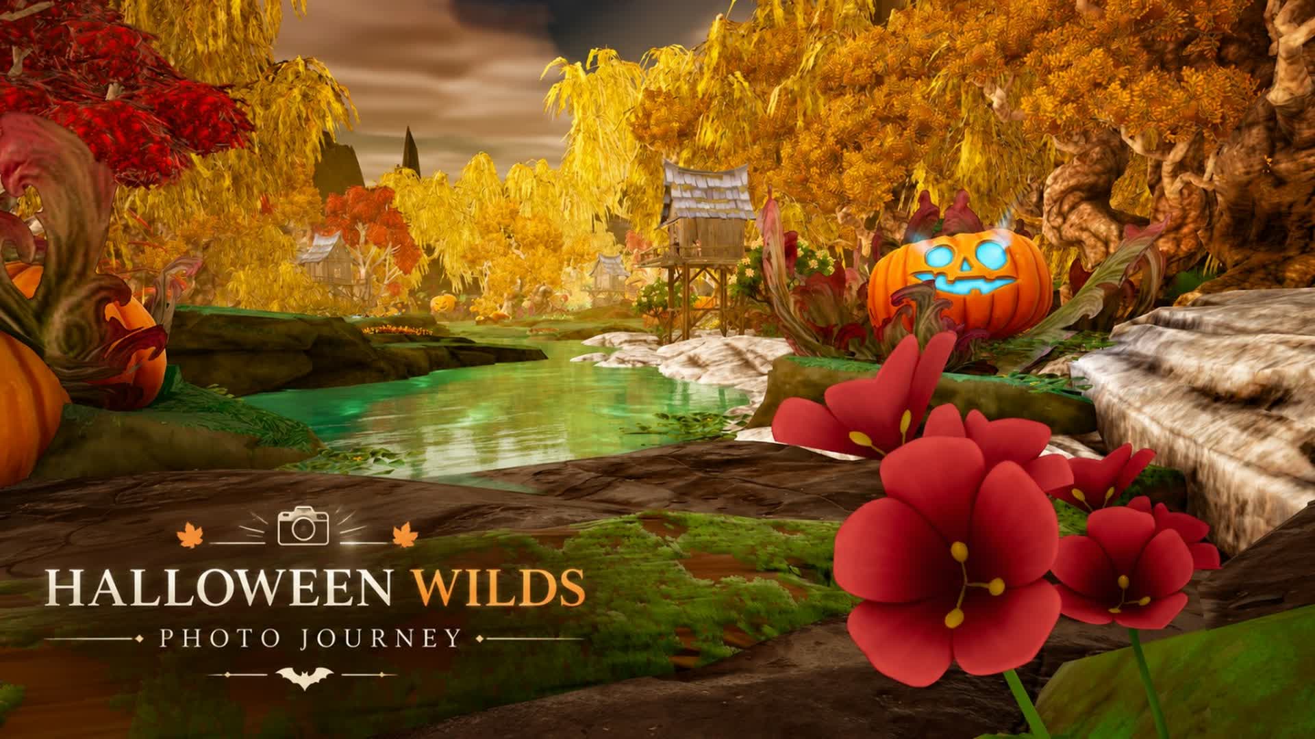 HALLOWEEN WILDS | PHOTO JOURNEY